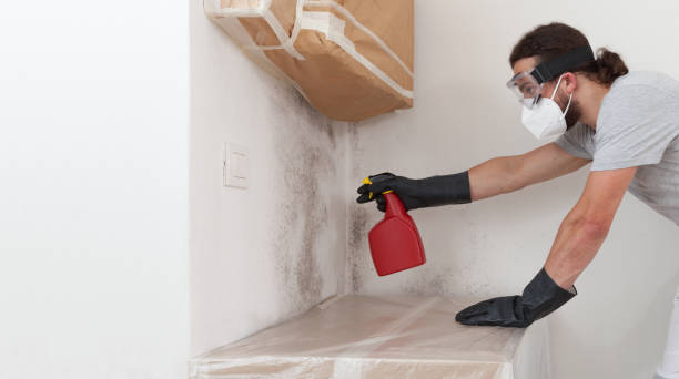 Professional Mold Remediation technician working in Newtown, PA