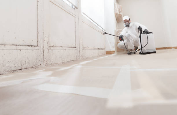 24/7 Emergency Mold Remediation experts in Newtown, PA