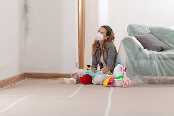 Reliable Mold Remediation contractor in Newtown, PA by Cheap Mold Removal