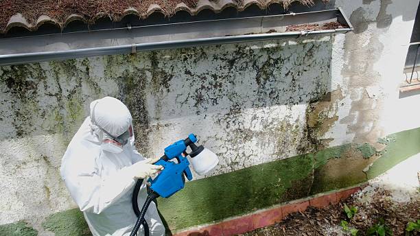 Top rated local Mold Remediation specialists in Newtown, PA